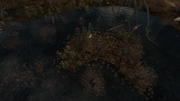 3558000.jpg