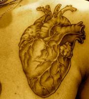 Вокалист Tokio Hotel Билл Каулитц сделал гигантскую татуировку в виде сердца