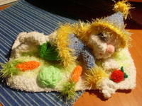 VFL.RU - ваш фотохостинг