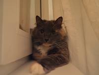 VFL.RU - ваш фотохостинг