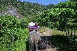 Одиночкой,в первый раз.Краби-ПиПи-Ланта-Краби-Сингапур-Лангкави_Ко липе-БКК