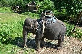 Одиночкой,в первый раз.Краби-ПиПи-Ланта-Краби-Сингапур-Лангкави_Ко липе-БКК