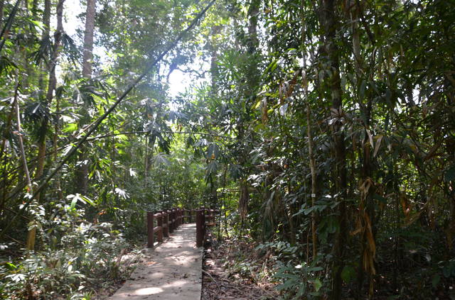 Одиночкой,в первый раз.Краби-ПиПи-Ланта-Краби-Сингапур-Лангкави_Ко липе-БКК