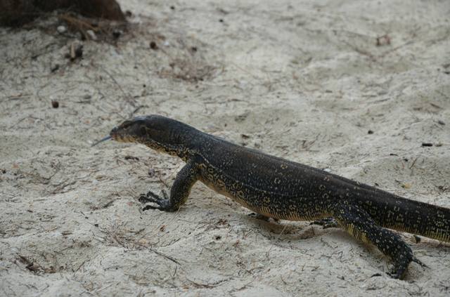 Одиночкой,в первый раз.Краби-ПиПи-Ланта-Краби-Сингапур-Лангкави_Ко липе-БКК