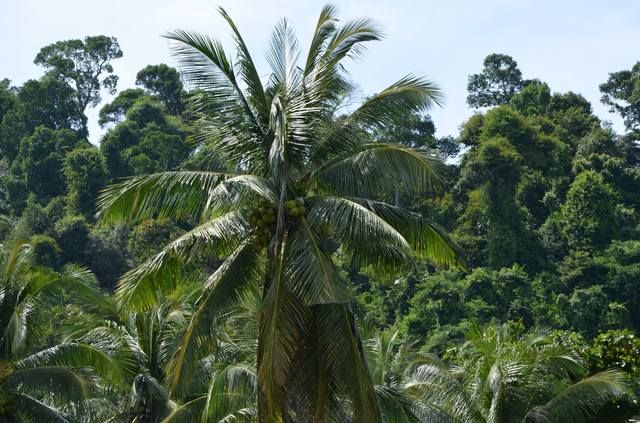 Одиночкой,в первый раз.Краби-ПиПи-Ланта-Краби-Сингапур-Лангкави_Ко липе-БКК