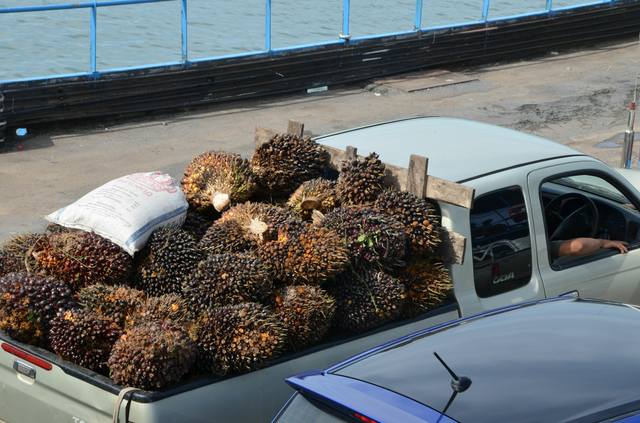 Одиночкой,в первый раз.Краби-ПиПи-Ланта-Краби-Сингапур-Лангкави_Ко липе-БКК