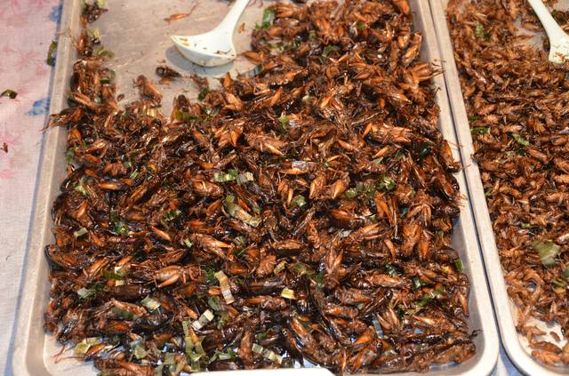 Одиночкой,в первый раз.Краби-ПиПи-Ланта-Краби-Сингапур-Лангкави_Ко липе-БКК