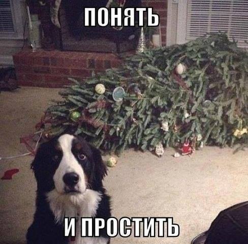 3821067_m.jpg