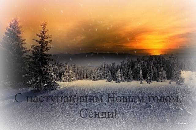 новогоднее1