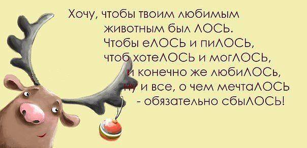 Поздравление с днем рождения мужчине про лося Поздравление с днем рождения мужчине про лося