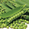 pea-douce-provence-seeds-pid3184 200[1]