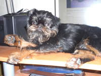 VFL.RU - ваш фотохостинг