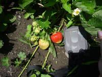 VFL.RU - ваш фотохостинг