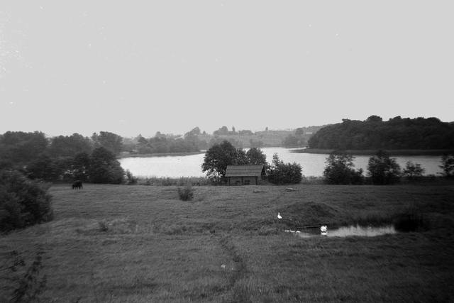 4070490_m.jpg