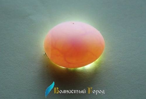 терморегулятор - Просвечивание яиц (овоскопирование) - Страница 3 4103339_m