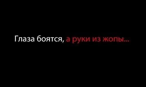 4109261.jpg