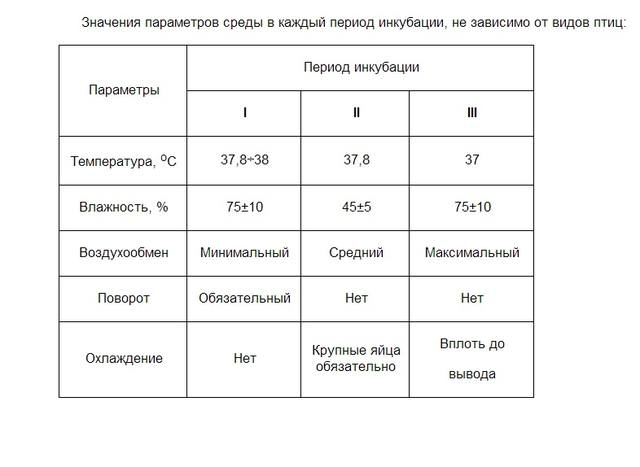 Птицеводы Бурятии и Прибайкалья - Страница 4 4154365_m