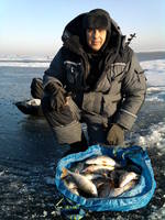 VFL.RU - ваш фотохостинг