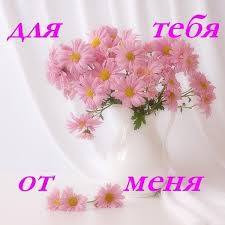 images?q=tbn:ANd9GcRGTcgO31oT6sddPE426lgsB-Byx0pec5LglslZkqmc9wA 6o7Q