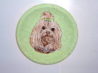 Роспись на ломаной яичной скорлупе,гуашь,на заказ: фото собак,портреты хозяев с собаками. Анималистика,флора,фауна,натюрморты 4205673_s