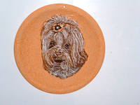 Роспись на ломаной яичной скорлупе,гуашь,на заказ: фото собак,портреты хозяев с собаками. Анималистика,флора,фауна,натюрморты 4205675_s