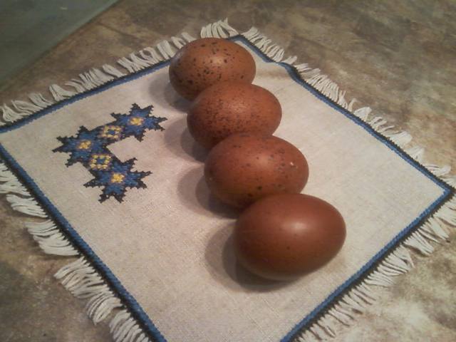 Мараны - порода кур, несущие пасхальные яйца - Страница 20 4227158_m