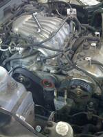 VFL.RU - ваш фотохостинг