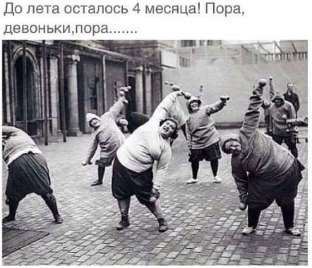 4238487.jpg