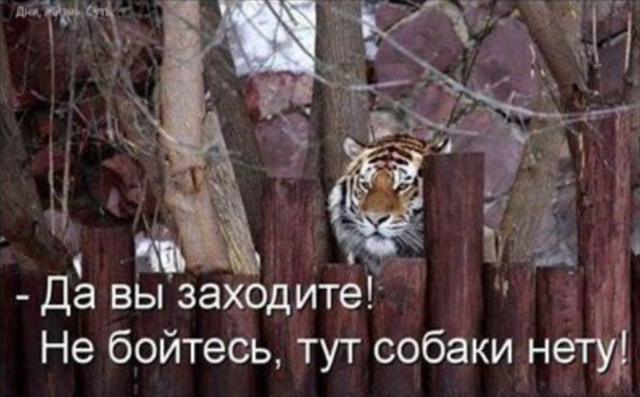 4253970_m.png