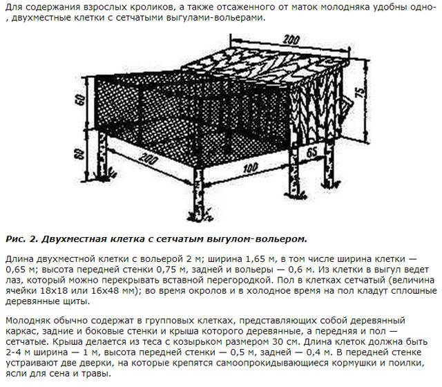 Кролики в вольерах. - Страница 29 4270343_m