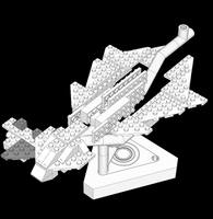 Fire Dragon-1000x1024