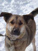 VFL.RU - ваш фотохостинг