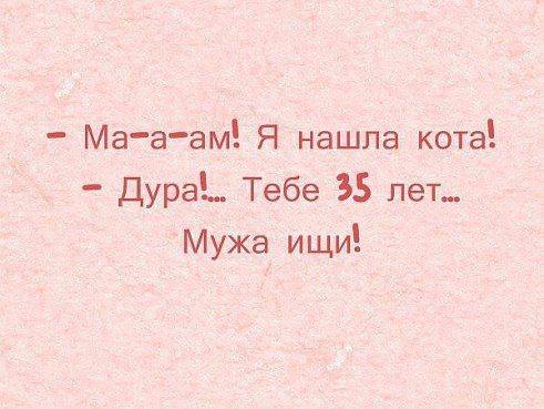 4293142.jpg