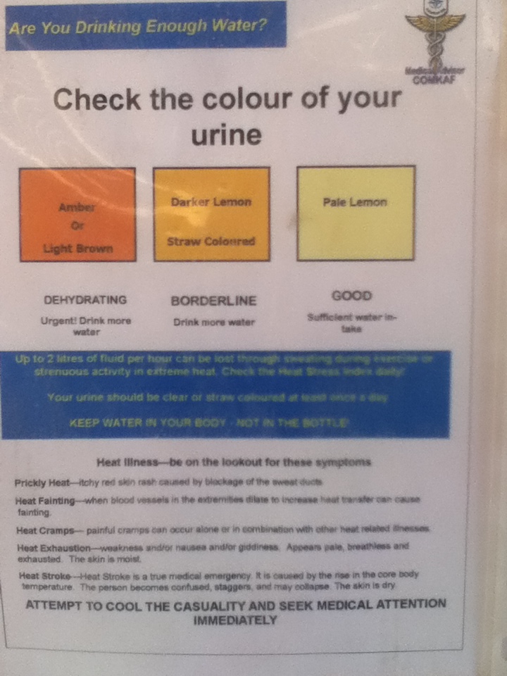 pee-chart