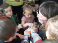 VFL.RU - ваш фотохостинг