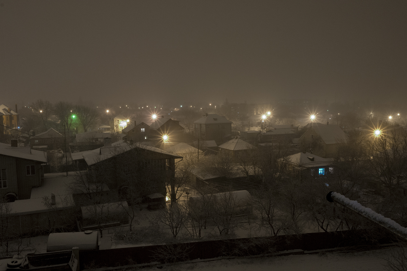 4450299.jpg