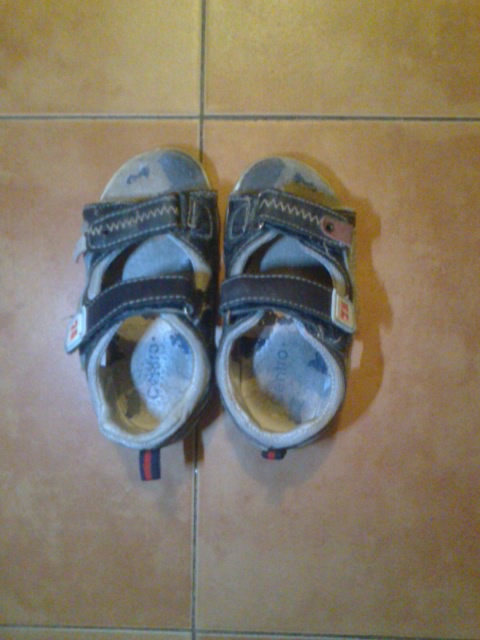 Р¤РѕС‚Рѕ1344[1]