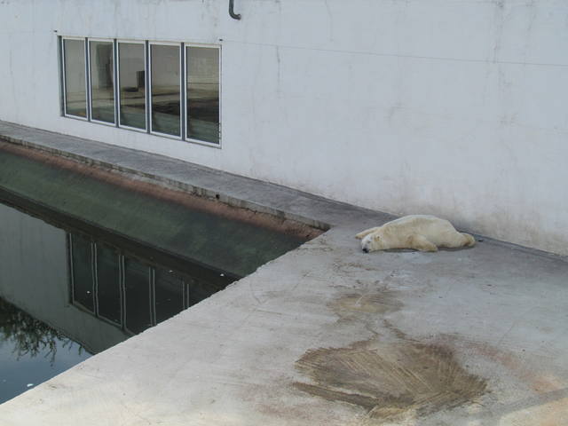 КРЫМ 991 КРЫМ 991