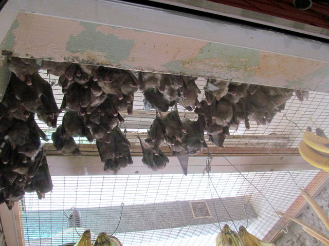 Екатеринбург 095