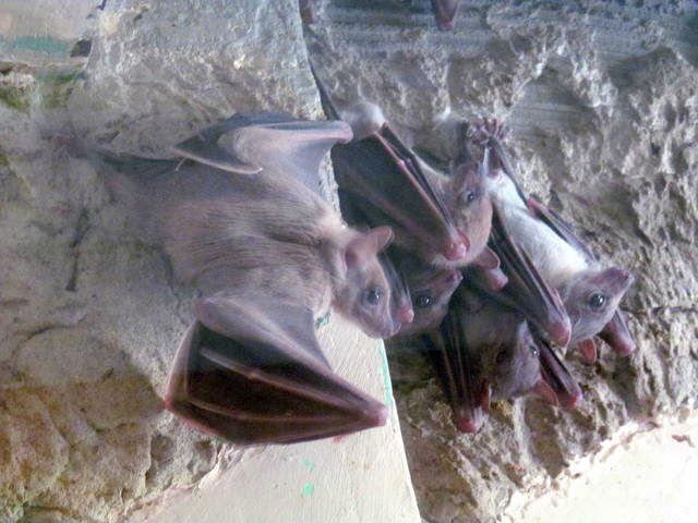 Екатеринбург 097