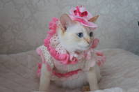 Айка в шляпе