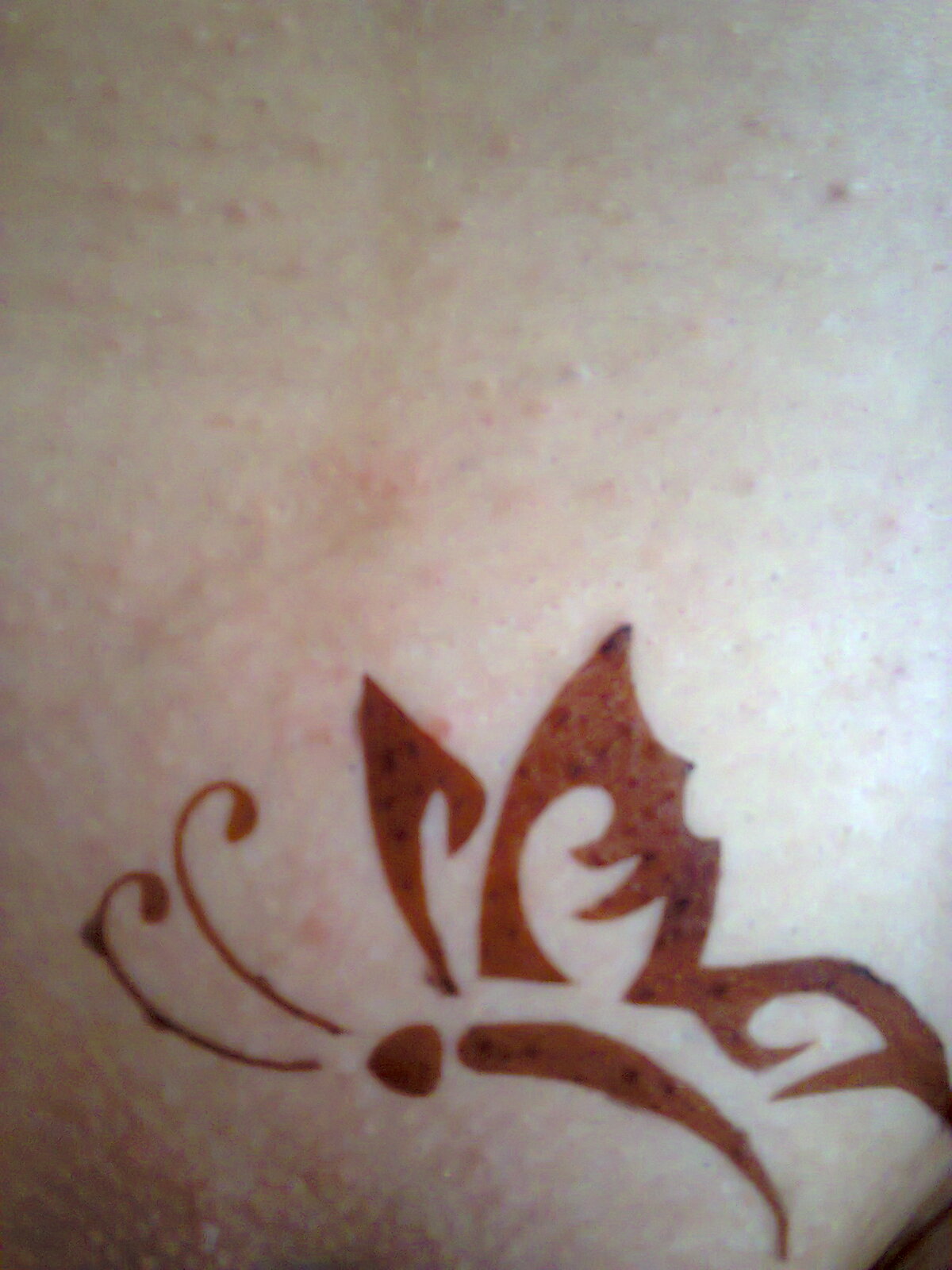 С„РѕС‚Рѕ0040[1]