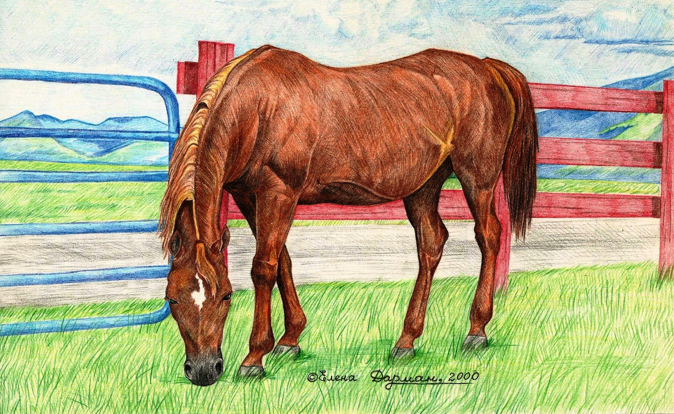 2000 Арабская лошадь 29,5х18 Цветной карандаш