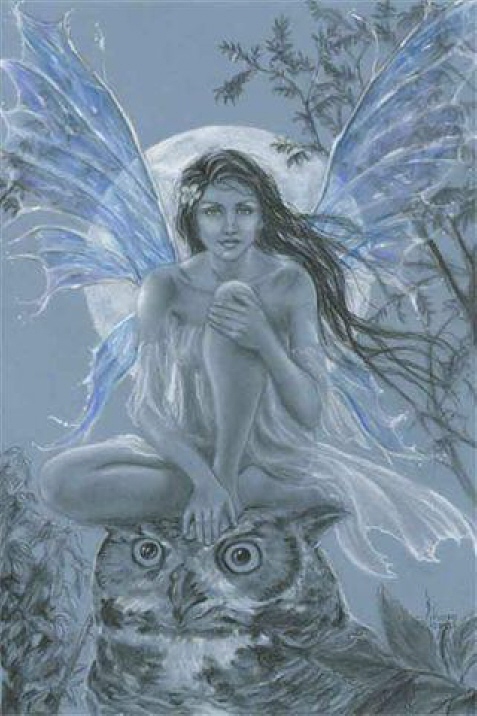 BLUE MOON FAIRY