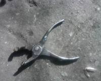 VFL.RU - ваш фотохостинг