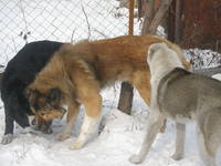 14 февраля 2010 год фотки 020