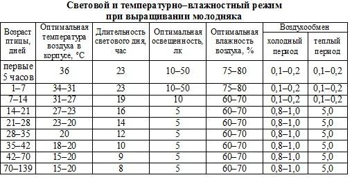 Порода Хайсекс (кросс кур) - Страница 9 4732988_m