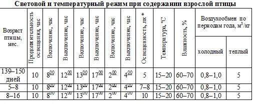 режим хайсекс 2