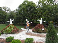 Изображение 343