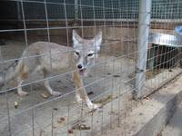 Изображение 577